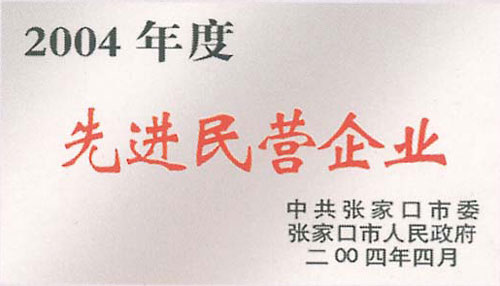 2004年底先進(jìn)民營(yíng)企業(yè)